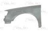 VW 161821021C Wing